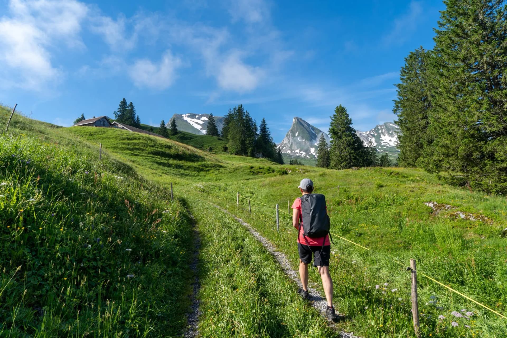Hiker with backpack walking on gravel path through green alpine meadow toward snowy mountains.