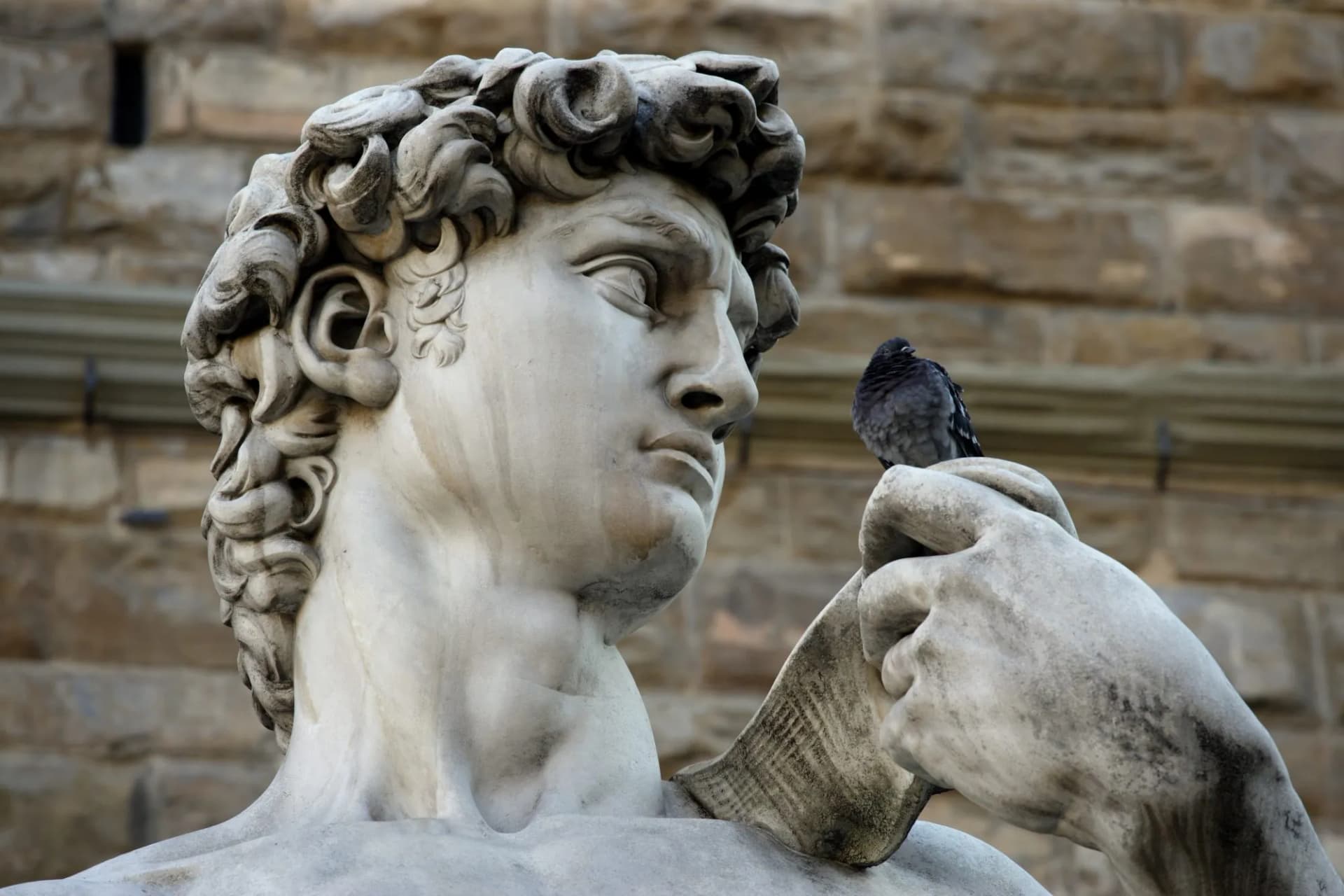 Marble statue of David with a pigeon perched on his hand against a stone wall background.