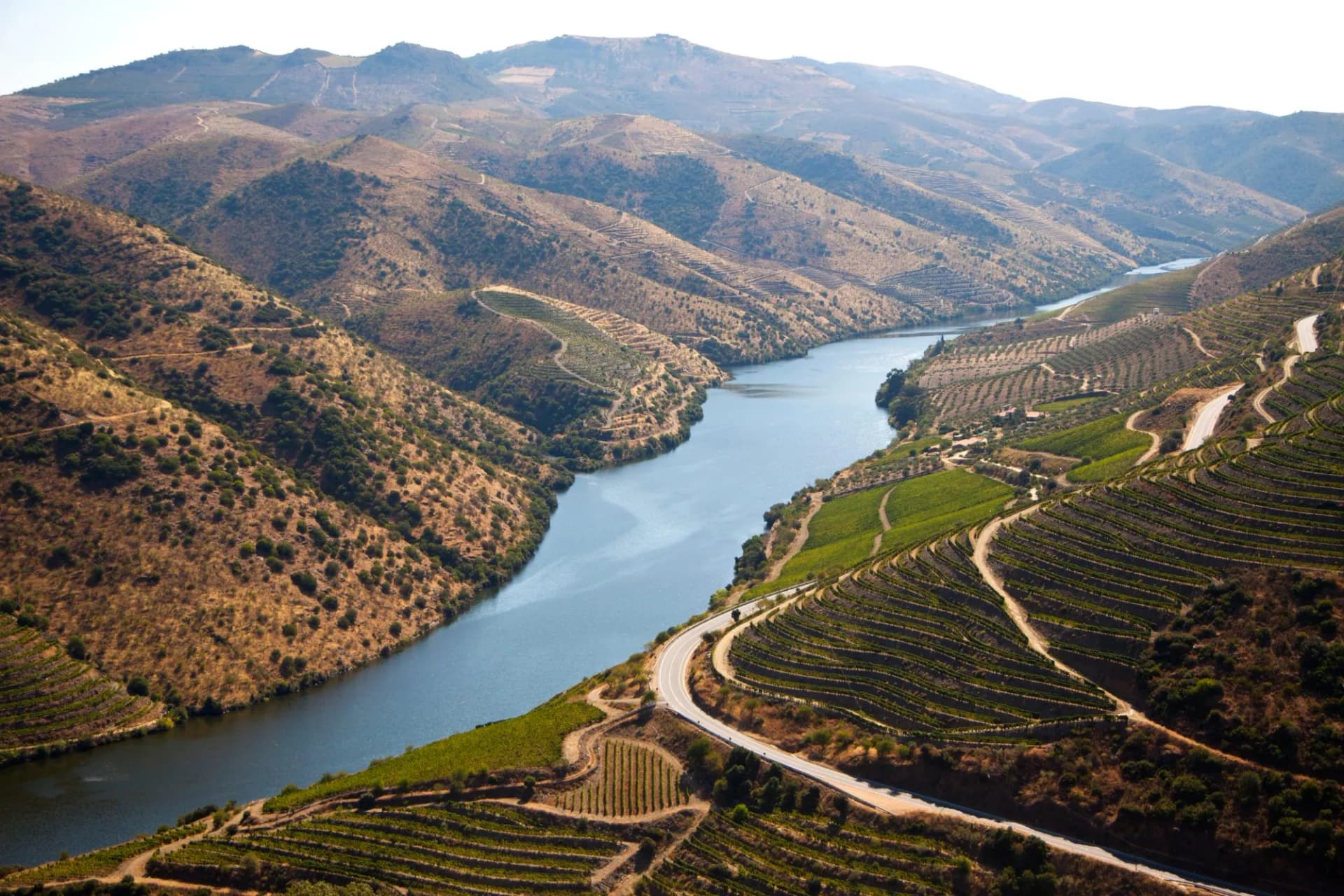 River winding through terraced hillsides with vineyards in the Douro Valley.