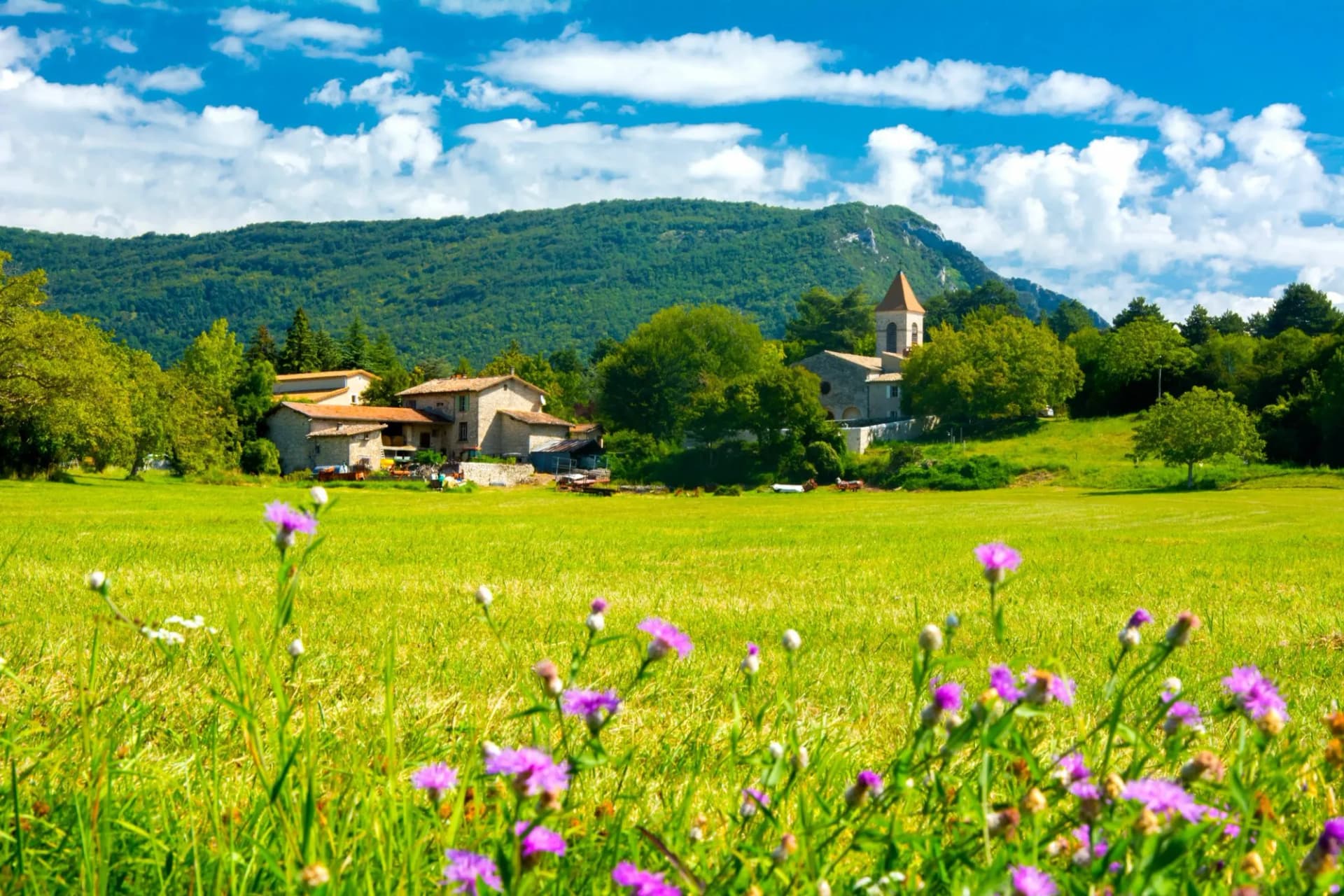 Summer village with stone houses and church in France, green meadow foreground.
