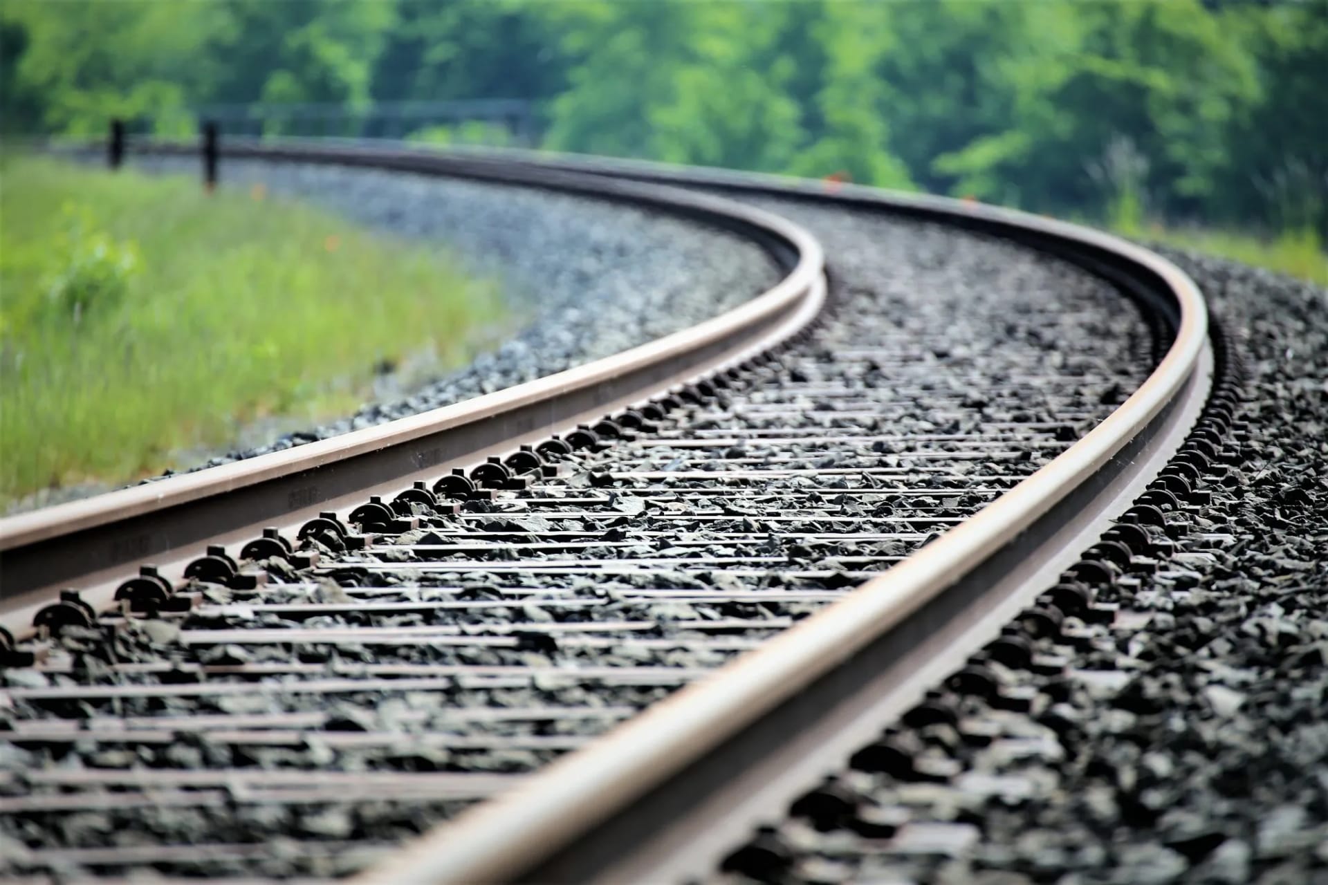 Curving railroad tracks surrounded by green grass and blurred forest in summer.