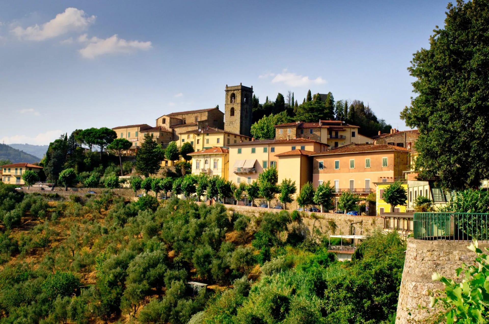 Hillside town with stone bell tower surrounded by lush green trees and olive groves under blue sky.
