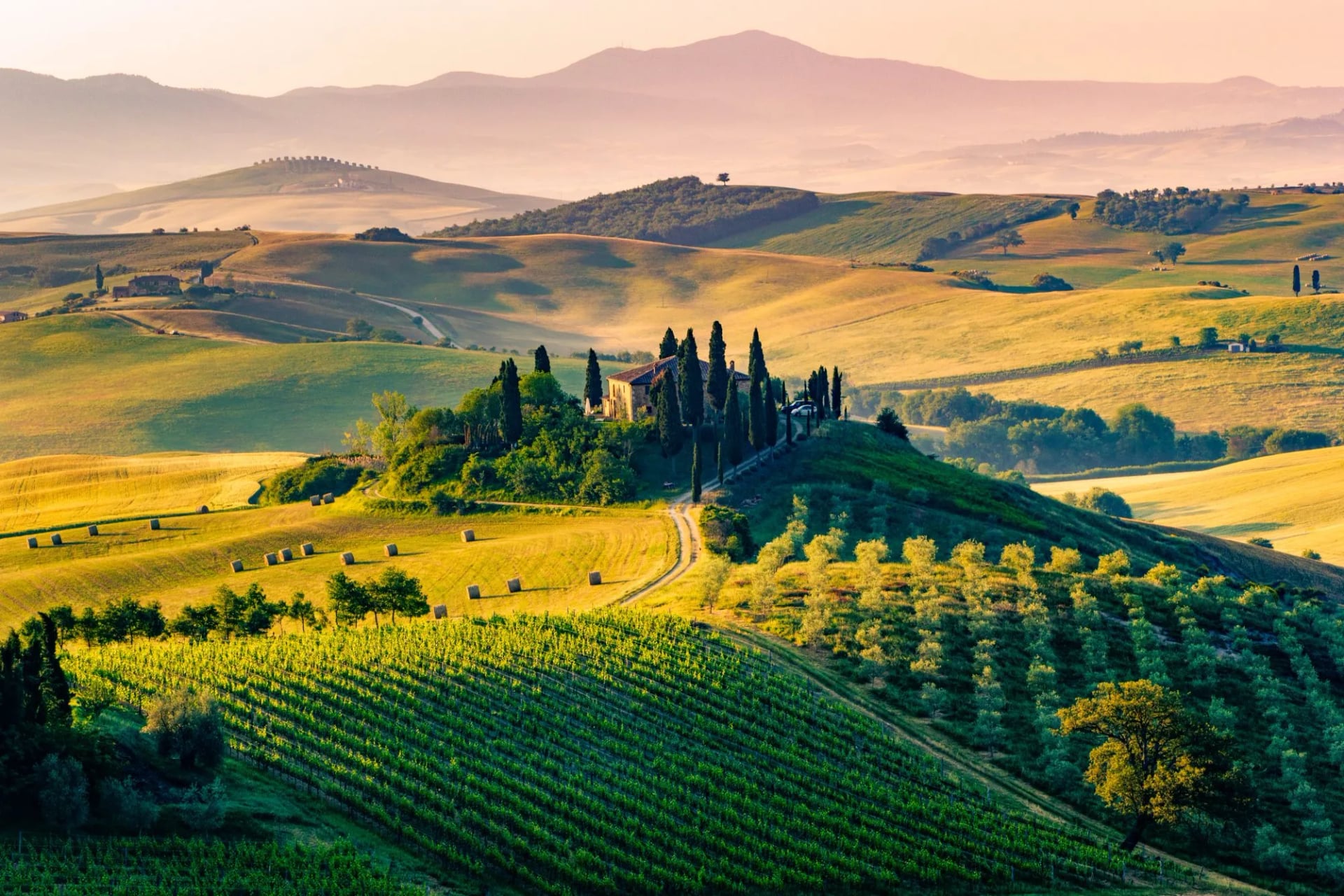 Tuscan landscape with rolling hills, vineyard, cypress trees, and farmhouse at sunrise