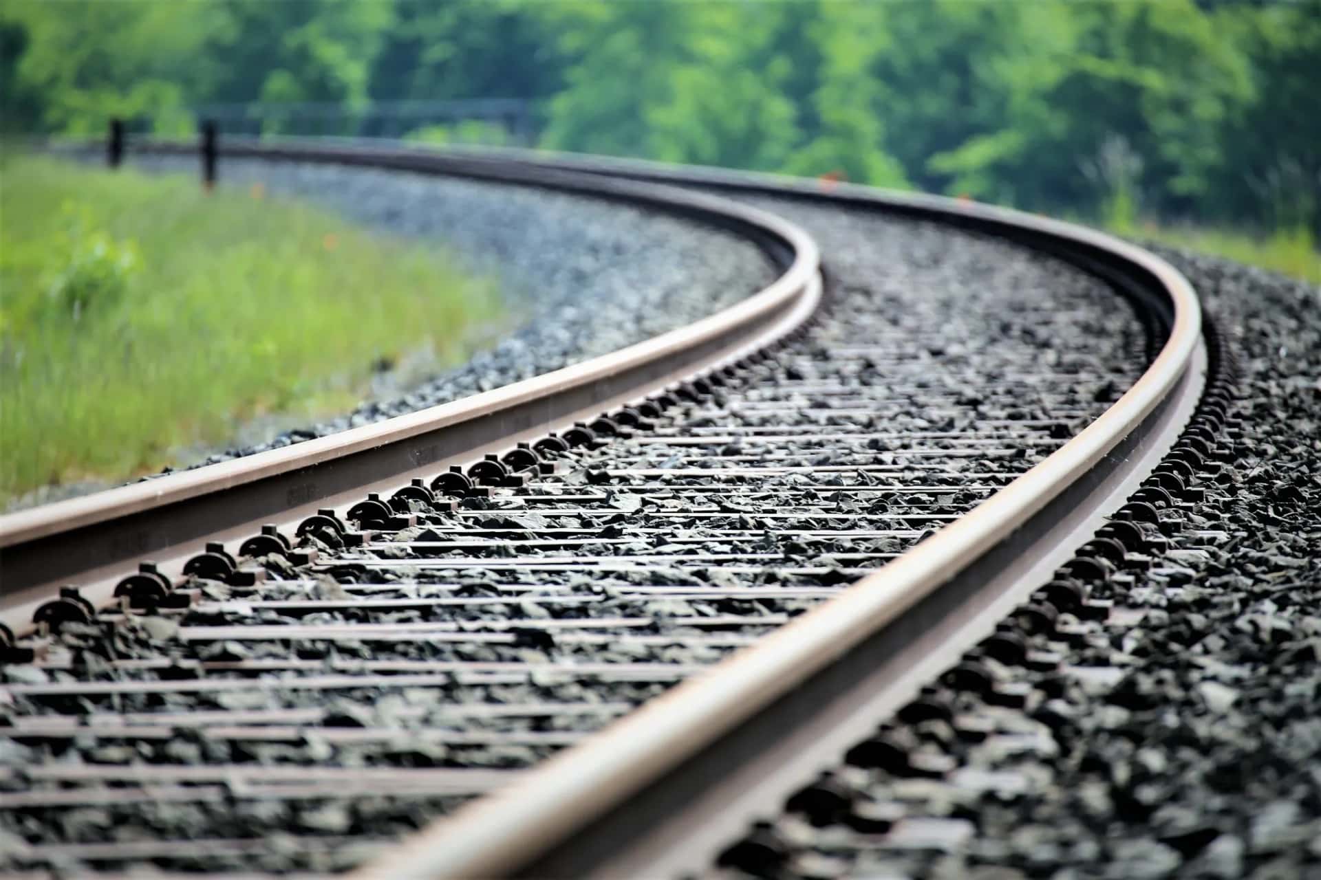 Curving railroad tracks surrounded by green grass and blurred forest in summer.