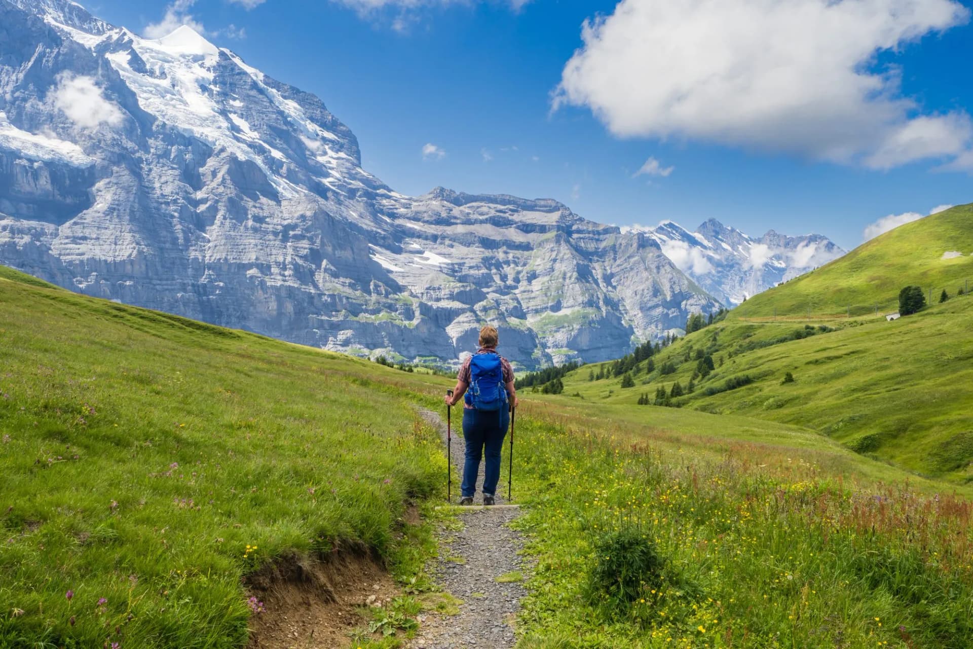 Hiker with backpack and poles on trail toward Eiger mountains between Grindelwald and Wengen, Swiss Alps.