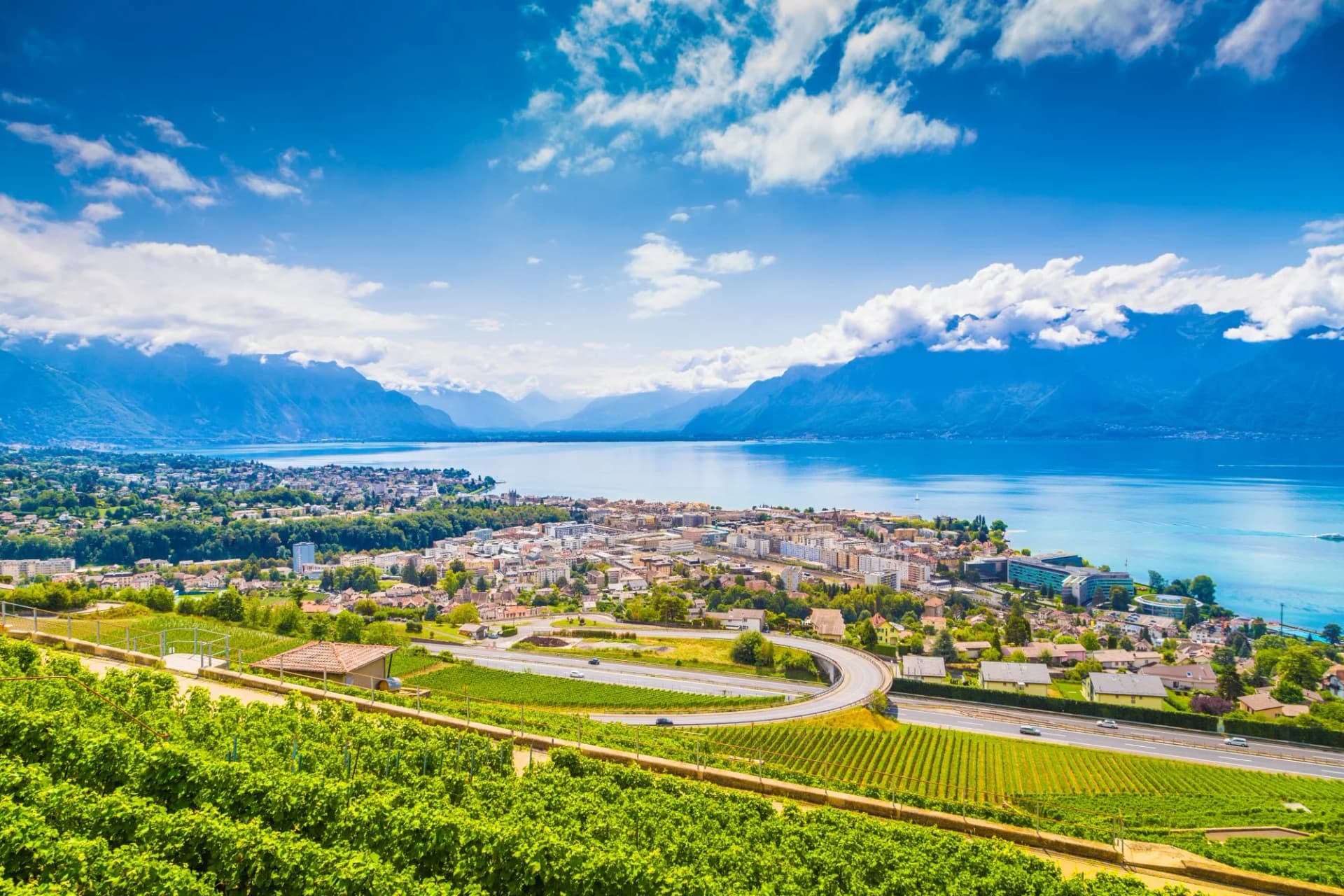 Vineyards overlooking the town of Vevey on Lake Geneva with mountains in summer, Switzerland.