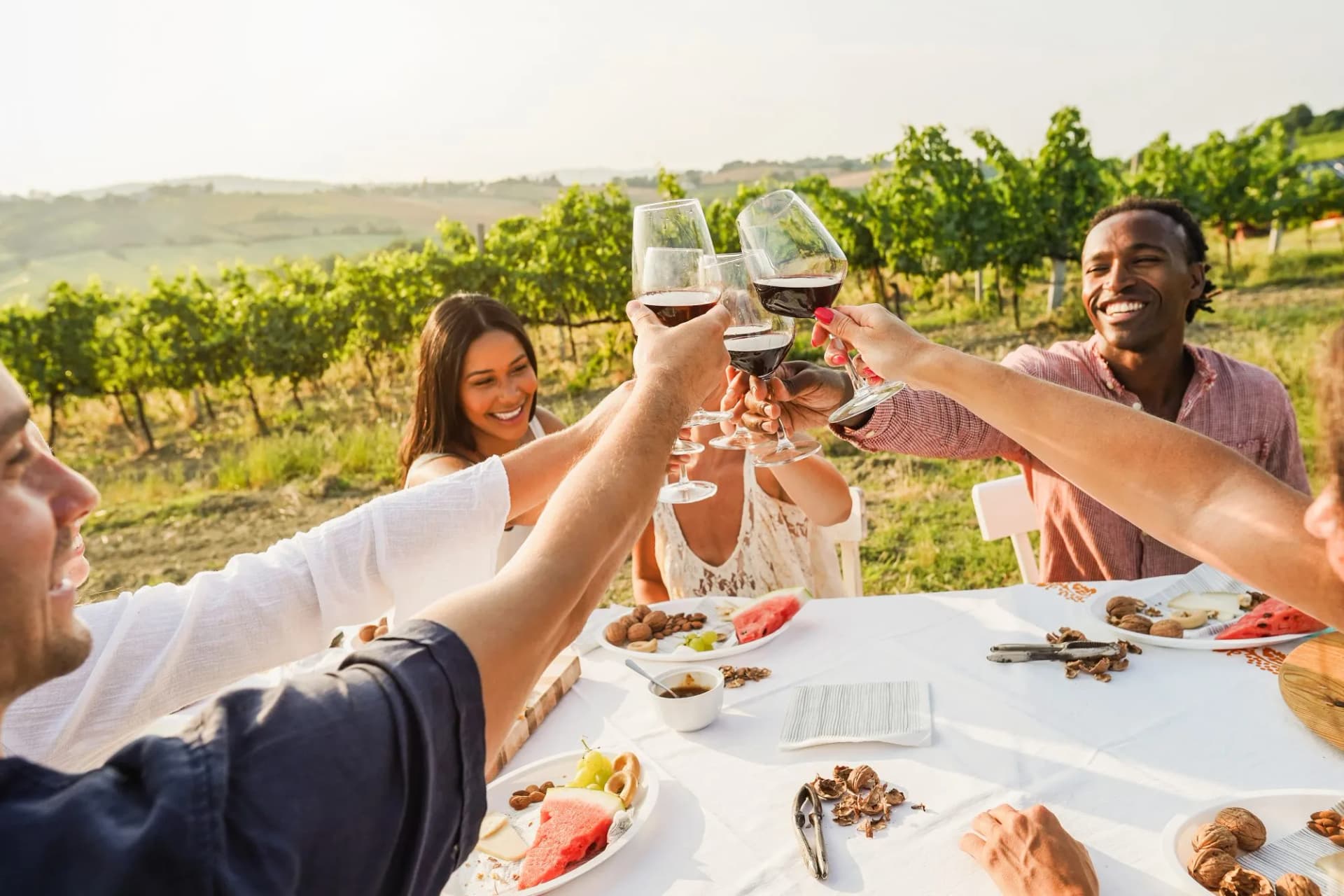 Friends toasting with red wine glasses during appetizer picnic at sunny vineyard in countryside.