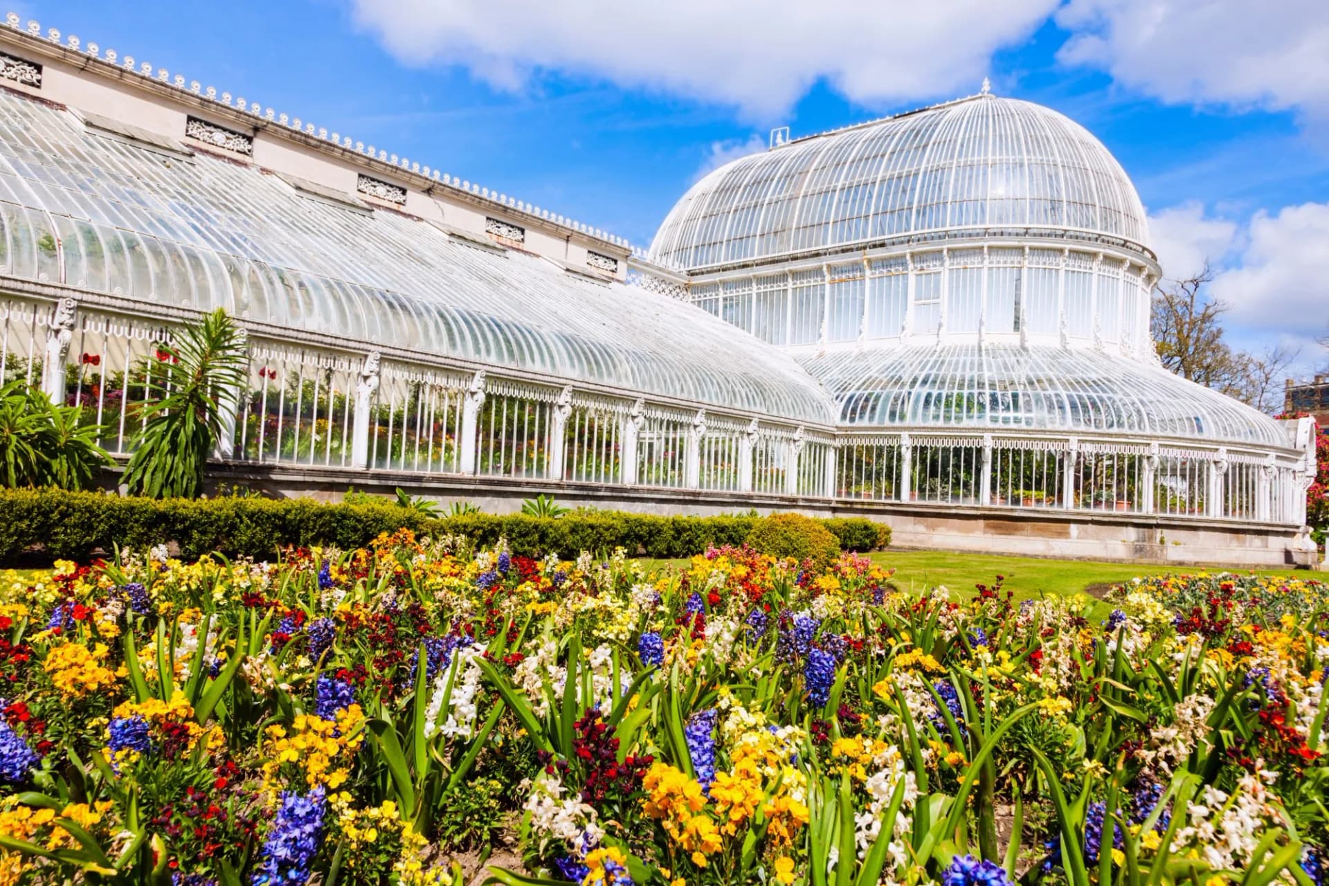 Palm House greenhouse in Belfast with vibrant flower beds under a blue sky.