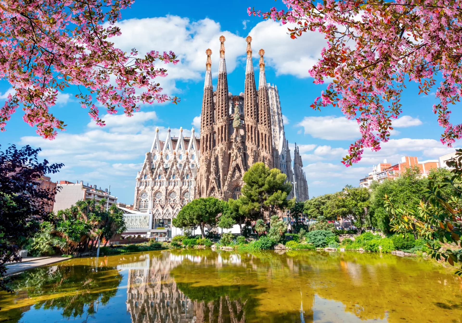 Sagrada Familia cathedral reflected in pond framed by pink spring blossoms in Barcelona