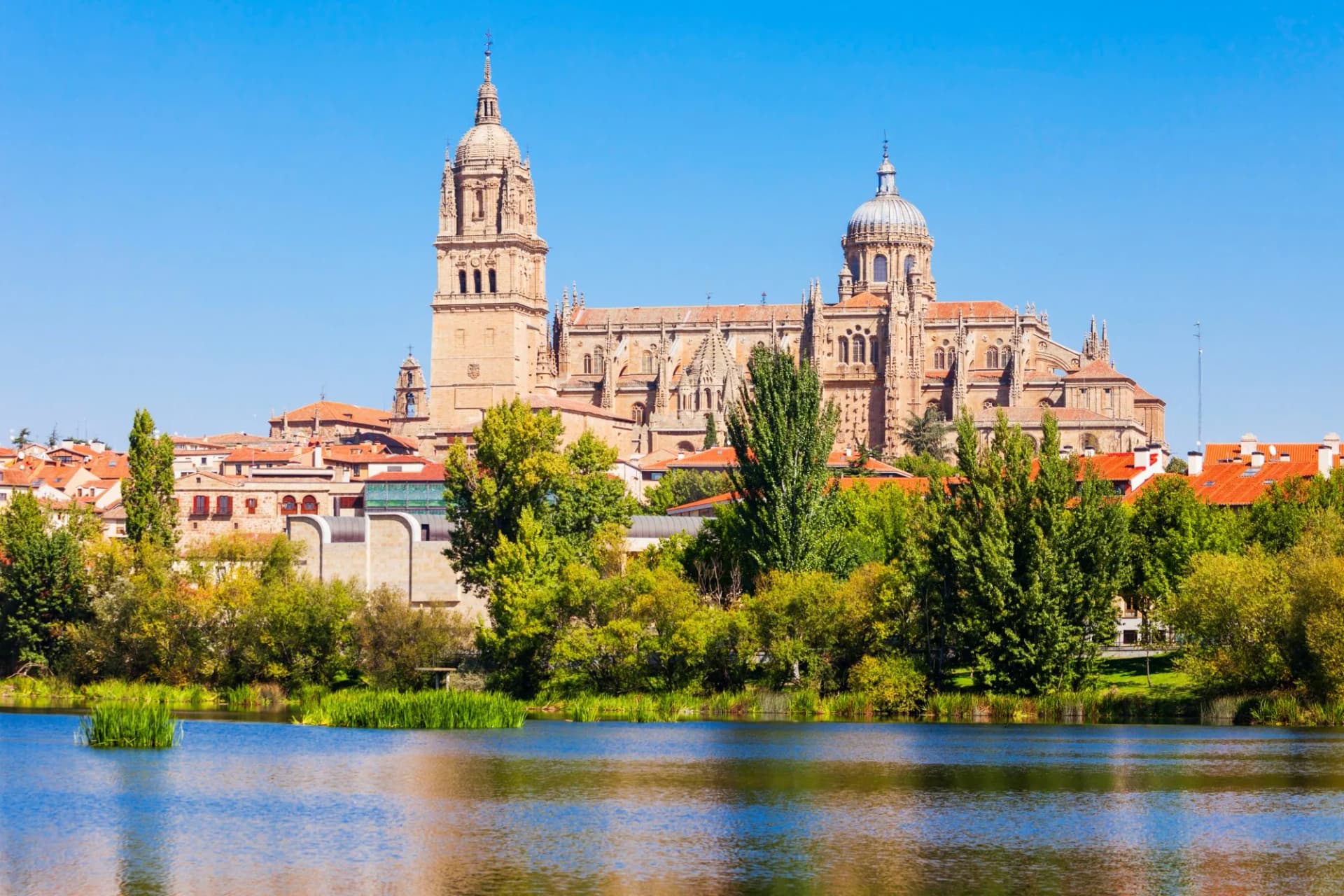 Salamanca Cathedral towers over city rooftops, viewed across a calm river with green foliage.