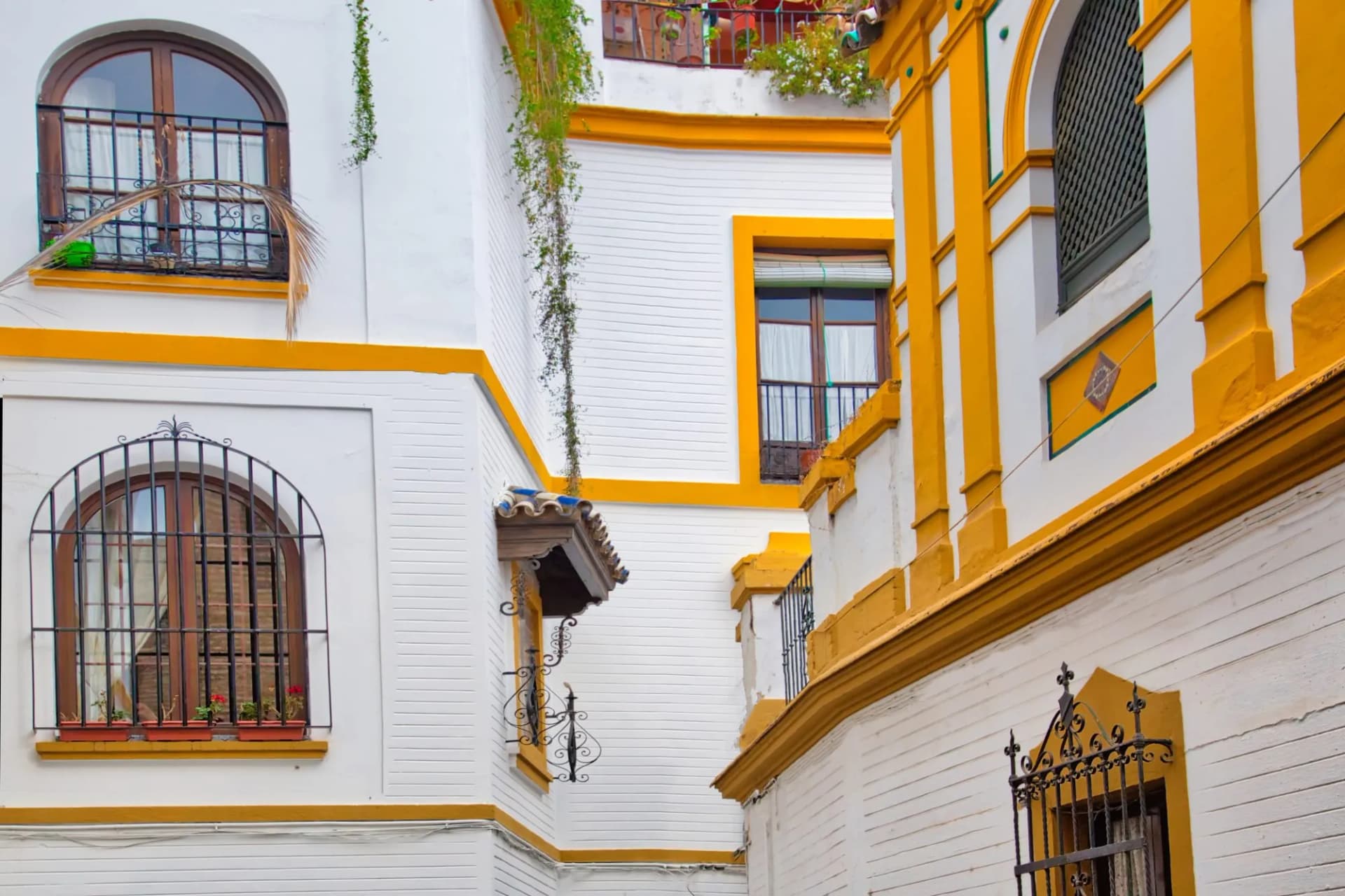White and yellow historic buildings with wrought iron balconies and hanging vines in Seville.