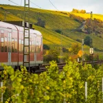 Ein Zug fährt durch herbstliche Weinberge